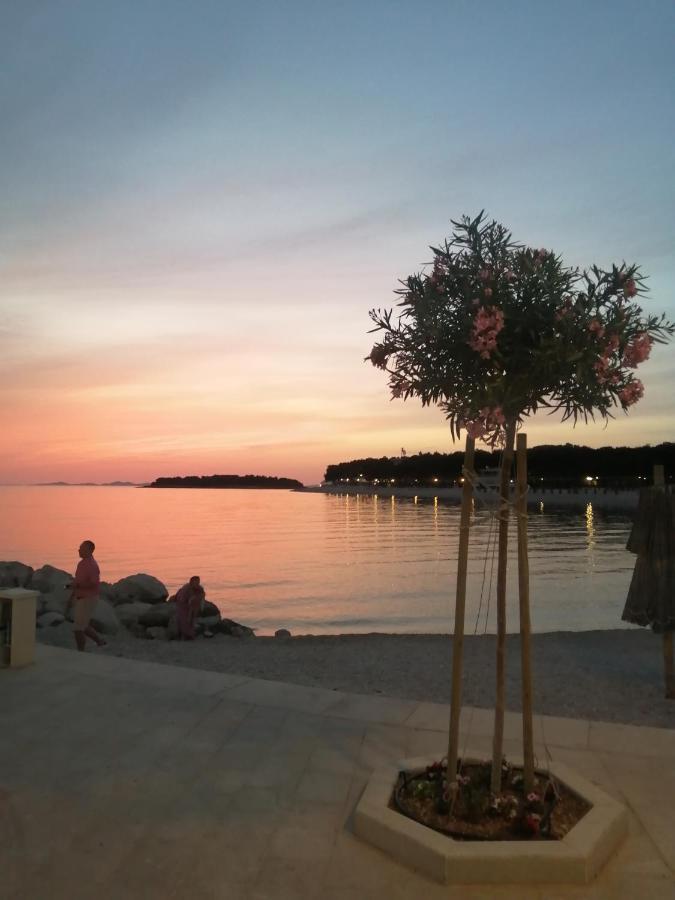 Stonewood Dalmacija